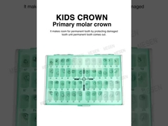 Kids Crown Primary Molar Crown  For Primary Molars Professional Grade