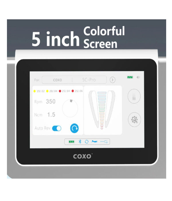 Dental C Master Coxos Dental Electric Motor with Endomotor All in One Brushless Electric Led Micromotor Endodontics